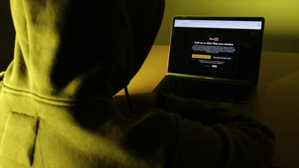 Persona entrando en una página de pornografía